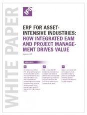 Software Selection for Asset-Intensive Industries