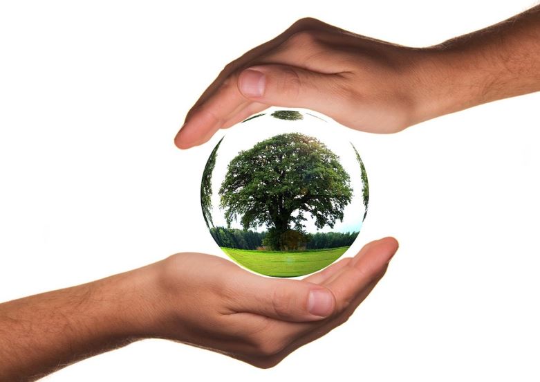 Corporate Social Responsibility