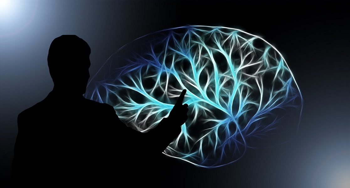 intelligence artificielle chimpanzé