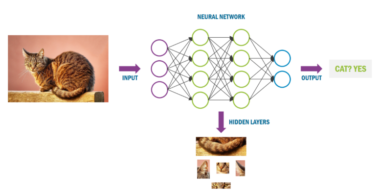 Neural Network